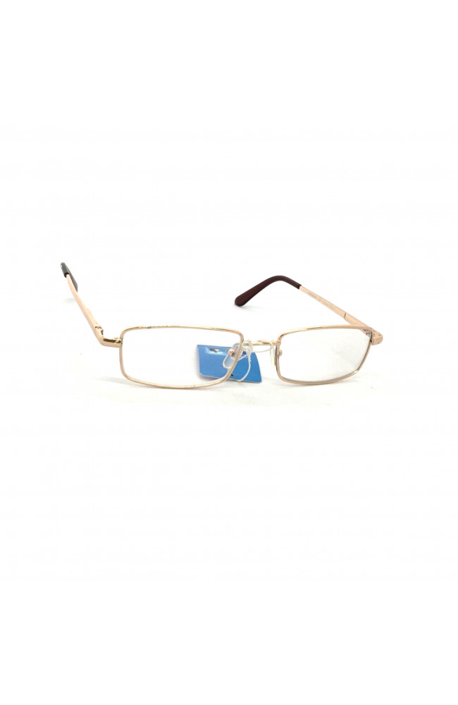 Компьютерные очки 1004 в золотой оправе: Цена, Характеристики, Фото